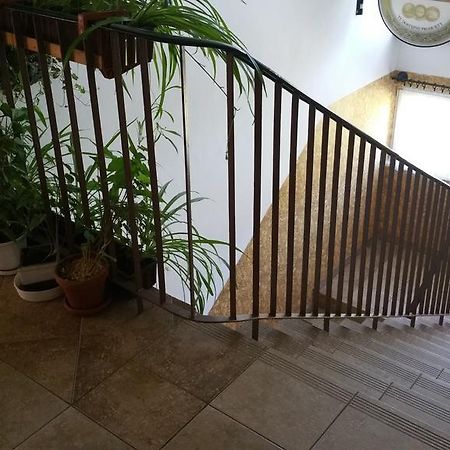 Dom Sportowca Roko Apartment Gdansk Bagian luar foto